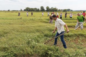 Nacionalinis šienpjovių čempionatas sugrįžta: šienpjoviai rinksis Šilutės rajone