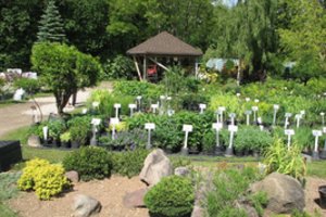 Aukštaitijos kaimo šiukšlyną žemaitis su žmona pavertė ypatinga vieta, kuri jau garsi ne tik Lietuvoje