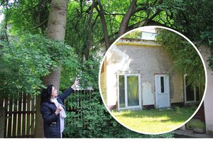 Tokios dėžės būstu Palangoje dar niekas nebandė paversti – kurorto meras bedė pirštu į tikruosius kaltininkus