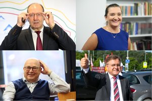 Tarp turtingiausių Lietuvos politikų – V. Uspaskichas, V. Matijošaitis, į sąrašą pateko ir verslininkė A. Landsbergienė