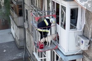 Po Rusijos raketų atakos Mykolajive gelbėtojai nepaliko apgriautame pastate įkalinto šuns likimo valiai