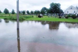 Ekologinė nelaimė: Kėdainių r. esantis Kruosto upelis užterštas naftos produktais