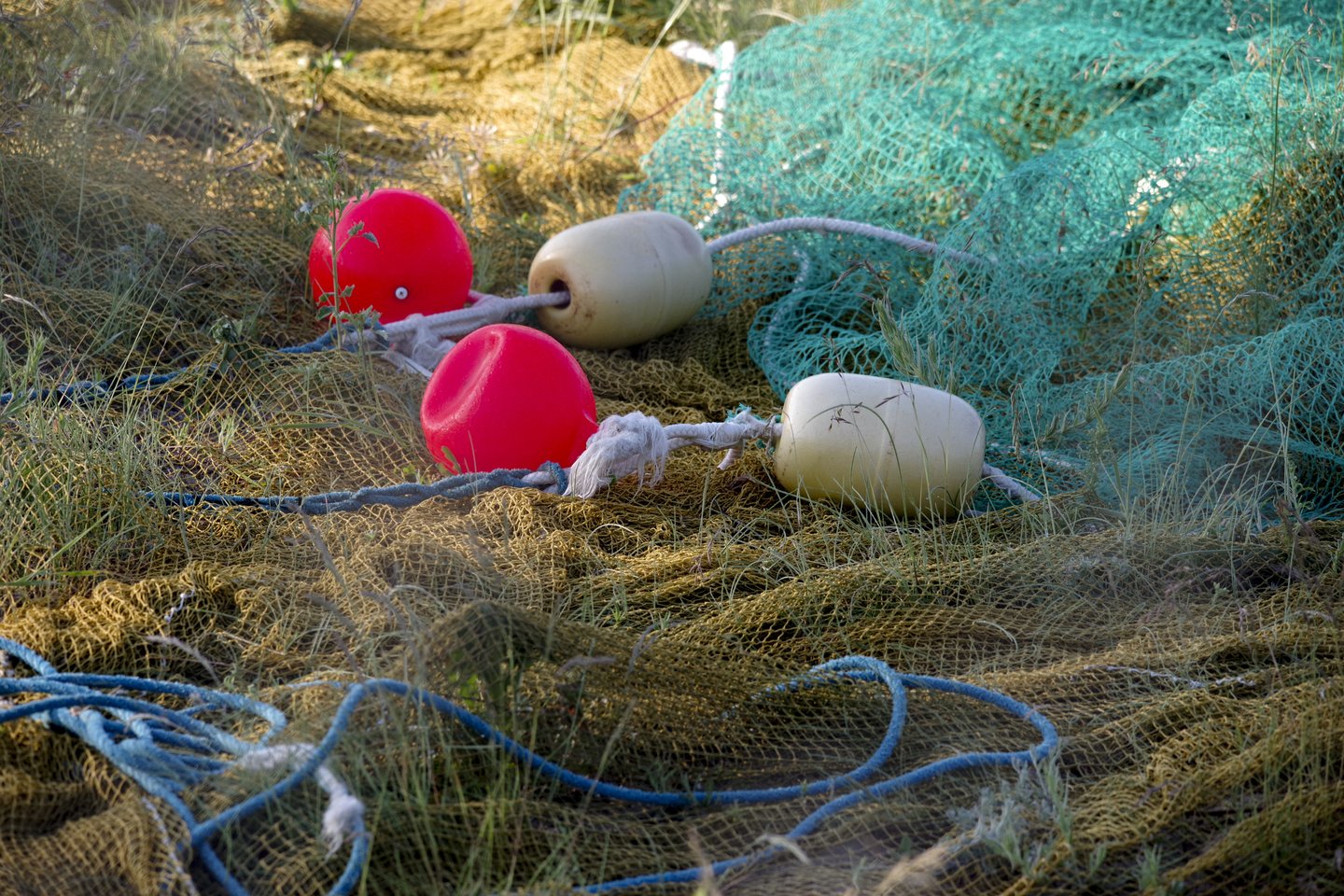 Iš jonaviškio konfiskuota daugiau nei 100 žvejybos tinklų, ruoštų pardavimui.<br>V.Ščiavinsko nuotr.