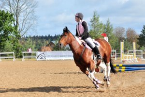 Vazgaikiemyje Lietuvos konkūrų čempionate raiteliai varžysis dėl 30 tūkst. eurų