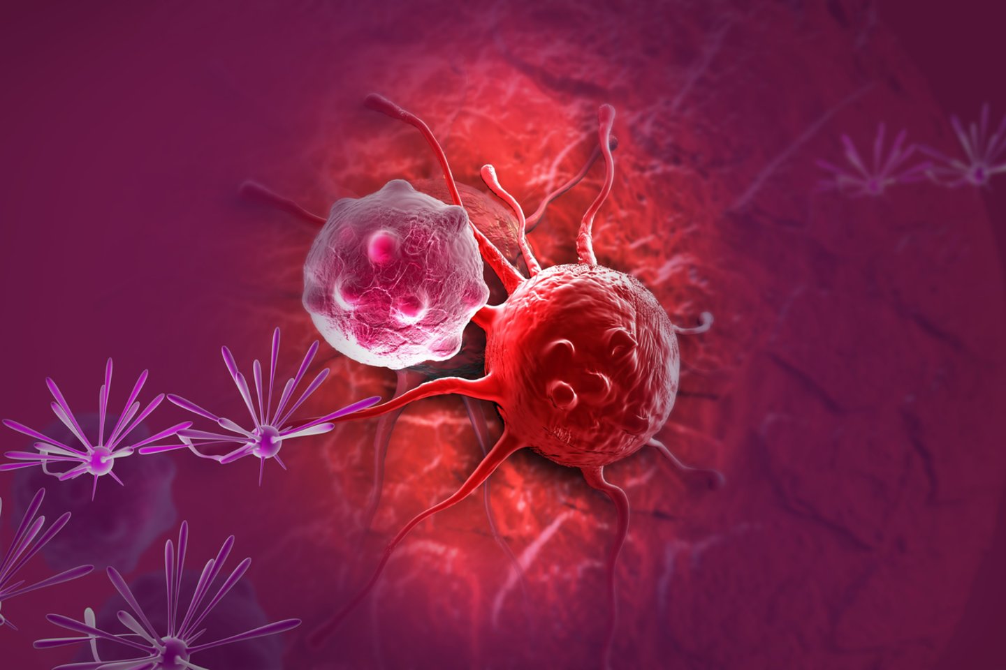 vėžio ląstelė<br> 123rf iliustr.