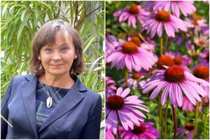 Ne tik graži gėlė: rausvi žiedai stiprina imunitetą, saugo nuo odos ligų ir virusų