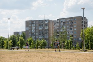 NT rinkos švytuoklė metasi į kitą pusę – prasideda ataušimo laikotarpis, butų nupirko triskart mažiau