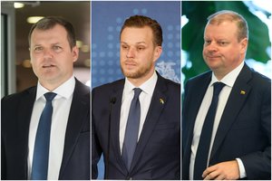 Opozicija nesutaria dėl G. Landsbergio atostogų: G. Paluckas sako, kad tai atsainus požiūris, S. Skvernelis – valstybė nesugrius