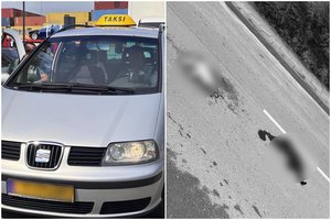 Klaipėdoje keleivę veždamas taksistas tyčia pervažiavo dviejų katinų galvas