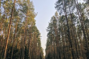 Klaipėda žygeivius ir kitus judėjimo entuziastus stebina vaizdingais maršrutais