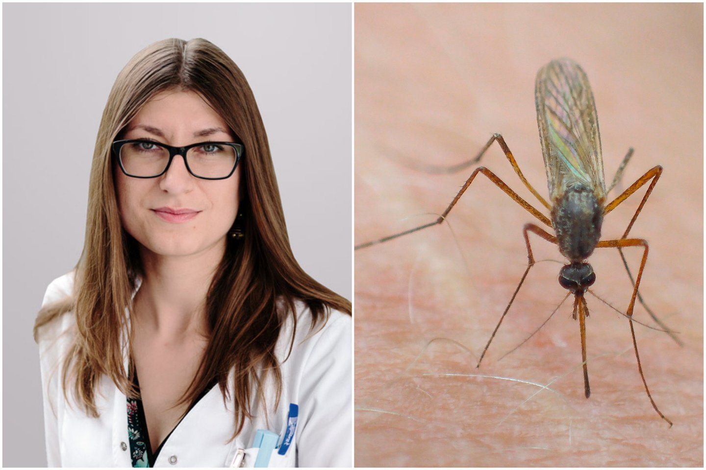 Alergologė dr. Neringa Stirbienė paaiškino, kas įvyksta įgėlus vabzdžiui.<br>lrytas.lt koliažas