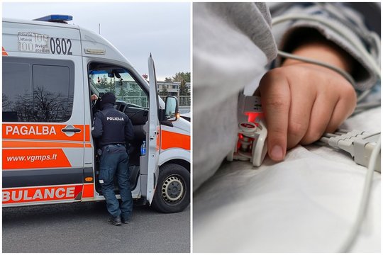 Vilniaus pakraštyje šuo sukandžiojo 8-metės mergaitės veidą