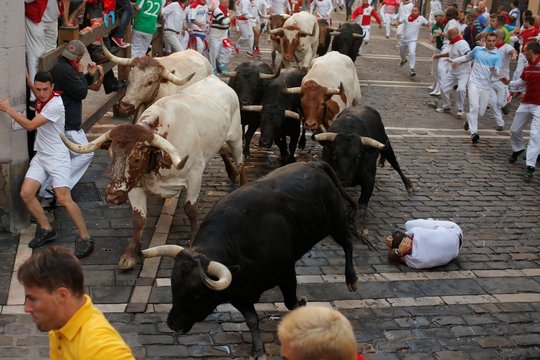 Į Ispaniją grįžus bėgimo su buliais festivaliui 5 žmonės atsidūrė ligoninėje: aktyvistai išreiškė pasipiktinimą