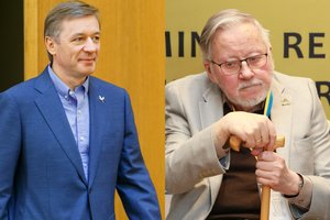 R. Karbauskis žada kreiptis į Konstitucinį Teismą dėl V. Landsbergiui suteikto statuso