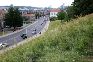 Neįprasti radiniai žolėje: miestą tvarkantys specialistai aptinka ir itin vertingų daiktų