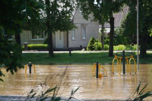 Gamtos stichijų šėlsmas per pirmąjį pusmetį lietuviams kainavo dešimtis tūkstančių