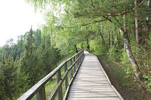 Netikėta Kauno rajono savivaldybės iniciatyva nustebino ne visus – sveikuoliai trina rankomis