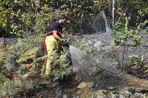 Pietų Prancūzijoje ugniagesiai suvaldė didelį gamtinį gaisrą