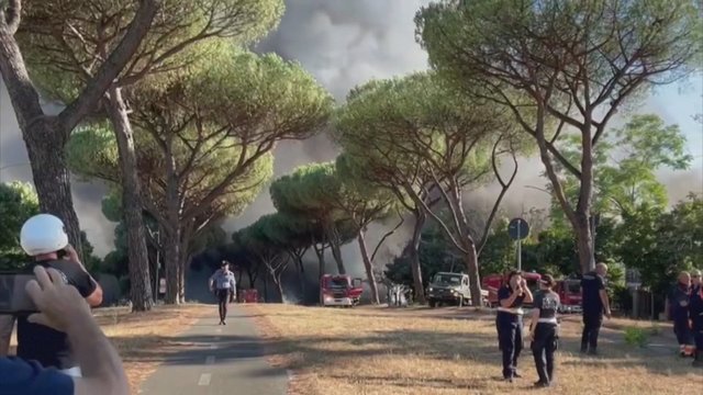 Gaisrai Kalifornijoje žaibiškai plinta: vieniems seniausių pasaulyje medžių kilo išnykimo grėsmė
