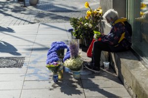 Įvertino pensijų fondų naudą: papildomas kaupimas II ir III pakopose nepakankamas