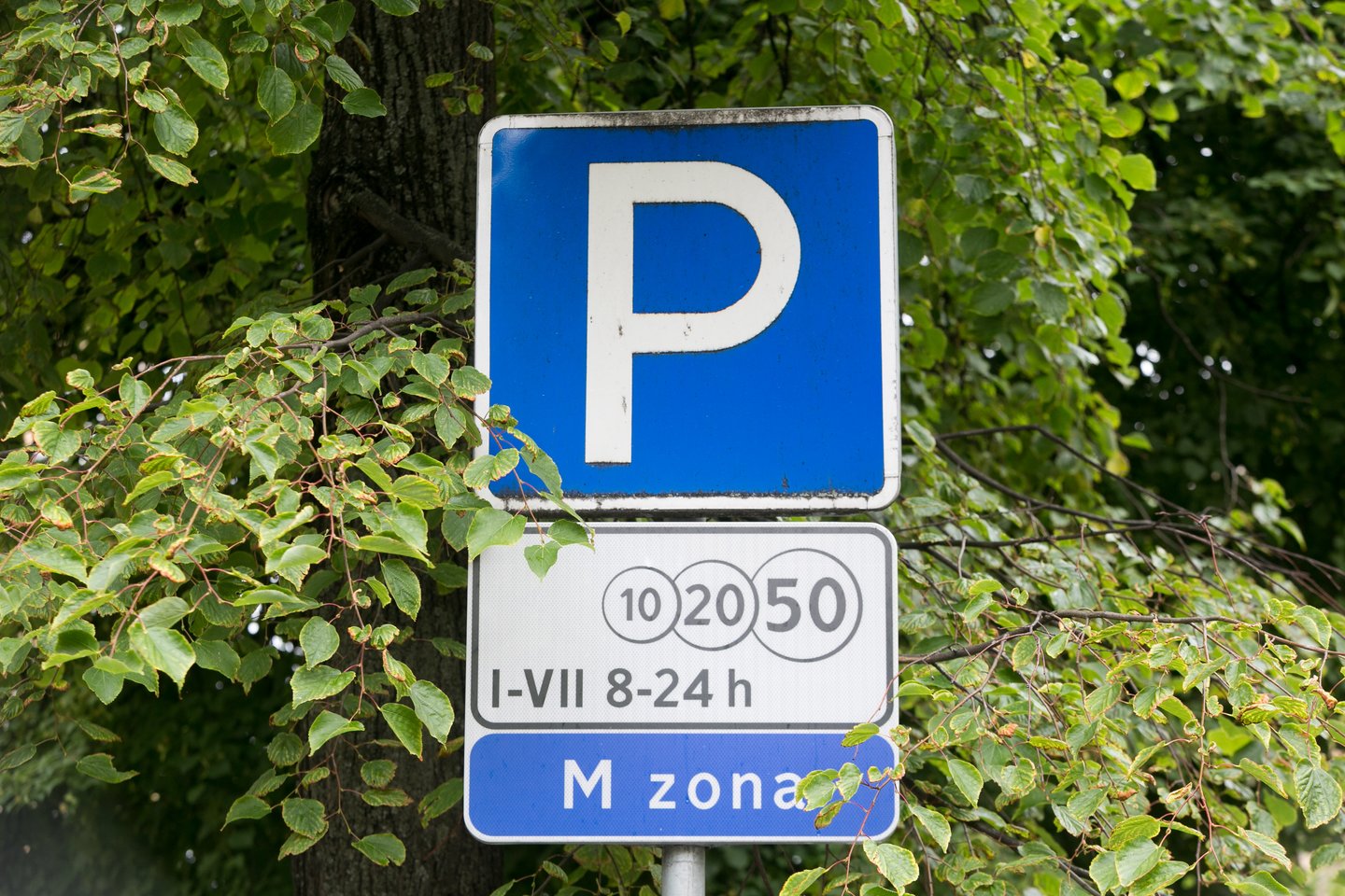 Nuo liepos 1 d. Vilniuje apmokestino dar daugiau stovėjimo vietų automobiliams.<br>T.Bauro nuotr.