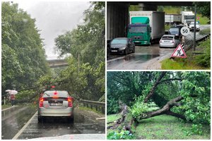 Lietuvoje siaučianti audra pridarė žalos: virto medžiai, tvino keliai, ugniagesių pagalbos prireikė beveik 80 kartų