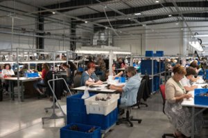 Ukrainietes įdarbinusios įmonės vadovė iš VMI sulaukė tokio dviprasmiško rašto, kad jo nesupranta jokie buhalteriai