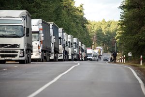 Pasienyje su Kaliningradu ir Baltarusija auga vilkikų eilės