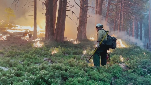 Kalifornijoje tęsiasi augmeniją niokojantis gaisras: ugniagesiai imasi priemonių liepsnoms malšinti