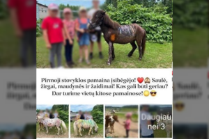 Paviešinus nuotraukas iš vaikų stovyklos Jonavos rajone – tarnybų reakcija: įstatymai nedraudžia, bet ar moralu?