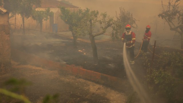Portugaliją niokoja miškų gaisrai: pastariesiems išplitus į prabangų kurortą, užsiliepsnojo golfo aikštynai