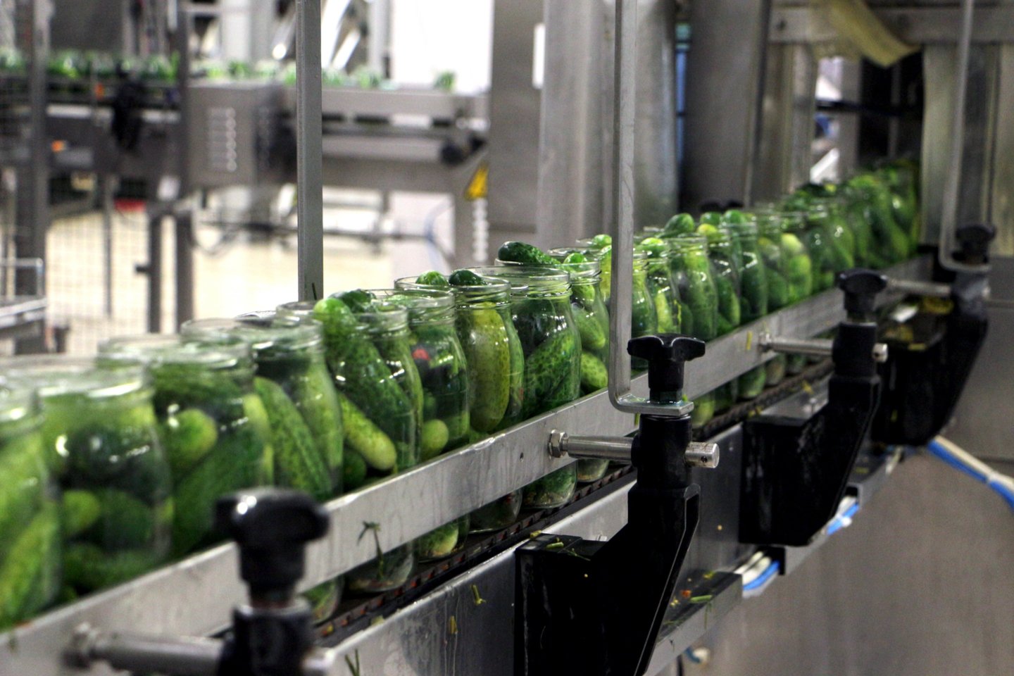 Kėdainių konservų fabrike agurkai yra ruošiami pagal 18 unikalių receptūrų.
