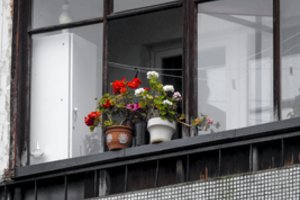 Kone visi naujakuriai daro vieną klaidą: pradėti reikėtų visai ne nuo apdailos darbų