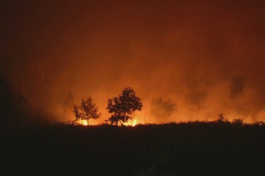 Pietų Europą siaubia galingi miškų gaisrai: su liepsnomis kovoja ir lietuvių pamėgtuose kurortuose