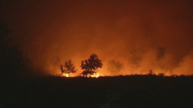 Pietų Europą siaubia galingi miškų gaisrai: su liepsnomis kovoja ir lietuvių pamėgtuose kurortuose