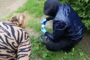 Vilniaus pareigūnams su narkotikais įkliuvo Rodūnios sodų gyventoja