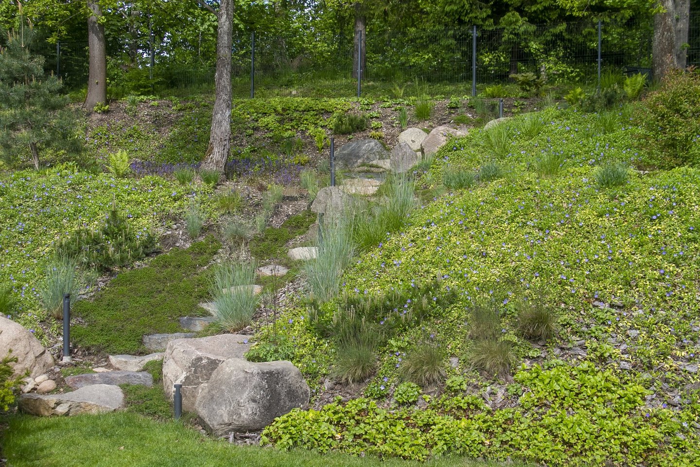 Lietuviai nuo seno mėgsta akmenis: didelius riedulius, randamus laukuose, tikrai galime naudoti, kurdami sodo dizainą.<br>R. Šimaitės nuotr.