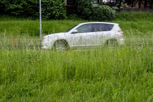 Arūnas Dumalakas. Geriausia daiktų saugykla – nešienautos pievos