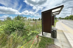 Kova su Sosnovskio barščiais nebuvo sėkminga: baigėsi nudegimais ir ilgai negyjančiomis žaizdomis