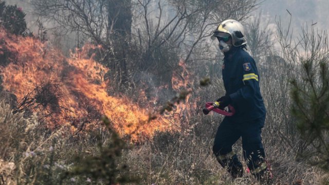 Prancūziją kankinant miškų gaisrams, pasisakė E. Macronas: „Išgyvename itin sunkų sezoną“