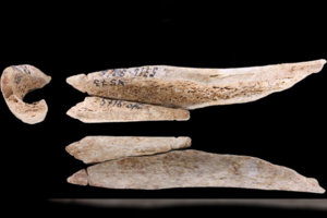 Pasirodo, aptikti papuošalai buvo pagaminti ir iš žmonių kaulų