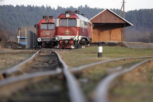 I. Šimonytė apie kalbas dėl rusiškų bėgių išardymo: tai nėra klausimas, kurį šiandien Vyriausybė svarstytų