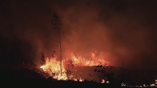 Pranzūcijoje toliau siautėja gaisrai: evakuota tūkstančiai žmonių