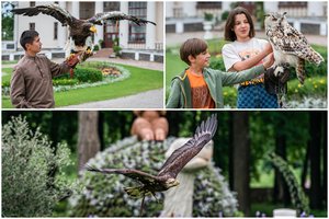 Pakruojo dvare – plėšrieji paukščiai iš viso pasaulio: stebina ne tik grožiu, bet ir dydžiu