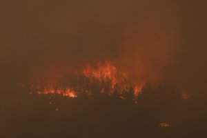 Ispanijoje ir Portugalijoje tęsiasi gaisrai: evakuota tūkstančiai gyventojų, nugaišo daugybė galvijų