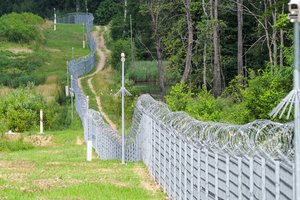 V. Dmitrijevas: migrantai bando patekti į Lietuvą fiziniu barjeru neužtvertose vietose