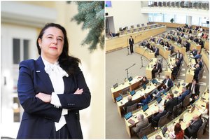 Subliuškus parlamentarės norui atlikti narkotikų tyrimus Seime, specialistė paaiškino, ką jis būtų iš tiesų parodęs