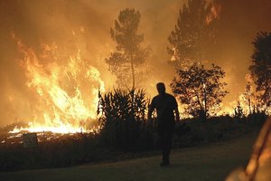 Europos karščio banga lemia taršą ozonu, kelia itin didelį gaisrų pavojų 