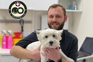 Pirkdami ėdalą augintiniams pagalvoja ne apie viską: ištikus bėdai gelbsti tik veterinarai