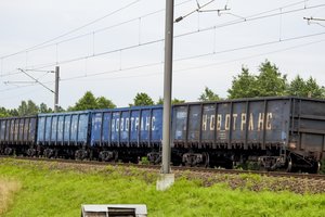 Pasirodė informacija, kad EK išaiškinimas dar balandį draudė sankcionuotų prekių tranzitą į Kaliningradą